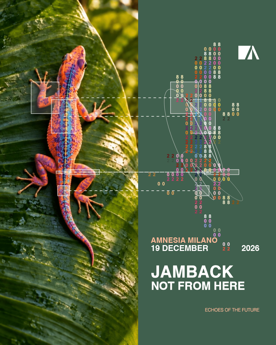 Jamback e Not From Here all’Amnesia Milano il 19 dicembre 2026